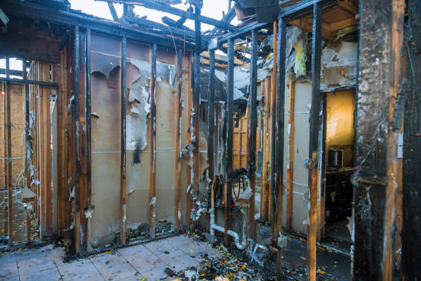 Professional Fire Damage Assessment technician working in Hayfield, MN